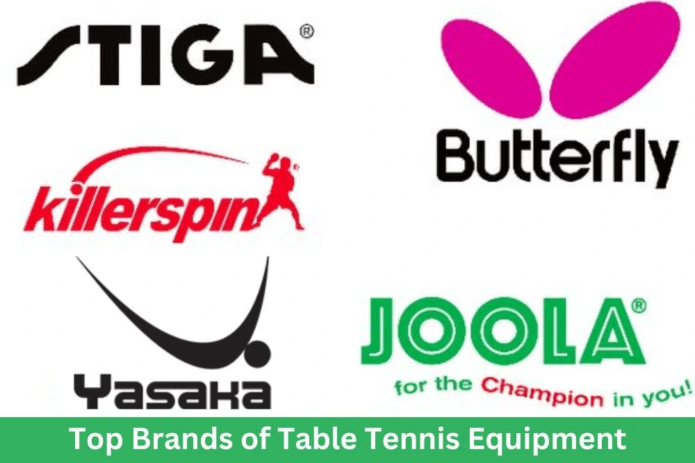Top Brands of Table Tennis Equipment