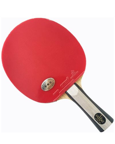 Palio Expert 2 Table Tennis Racket